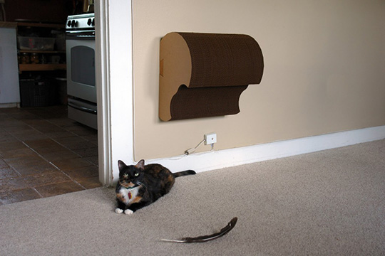 diy wall cat scratcher