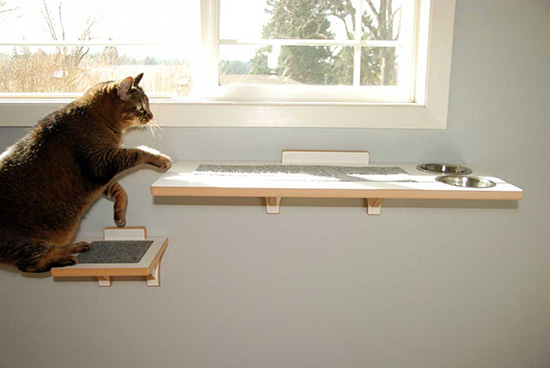 Enter To Win The New Ross Island Perch From Square Cat Habitat 