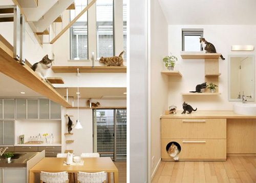 amazing cat houses