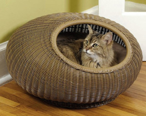 Decorative Cat Pod Bed from Mr. Herzher’s • hauspanther