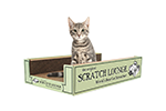 scratch lounge petco