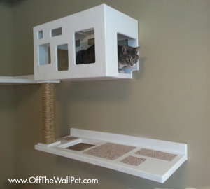 New Posh Cat Climbing Furniture From Off The Wall Pet, Plus Get 20% Off 