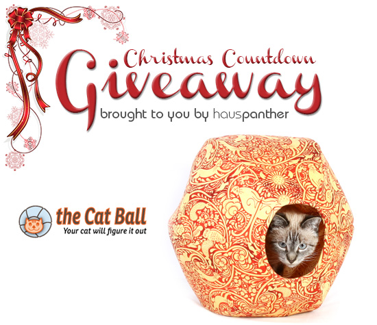 Giveaway_CatBall