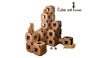 cat cube toy