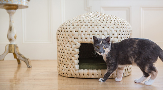 Traditional Japanese  Neko Chigura Woven Cat  House  Now Available in the US  hauspanther
