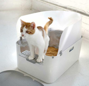 NEW! Modkat Litter Tray Available for Pre-order! • hauspanther