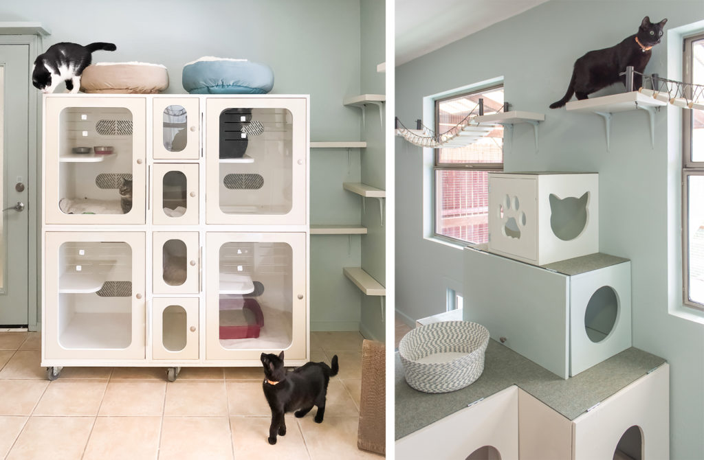 Sojourner Center Pet Companion Shelter Makeover • hauspanther