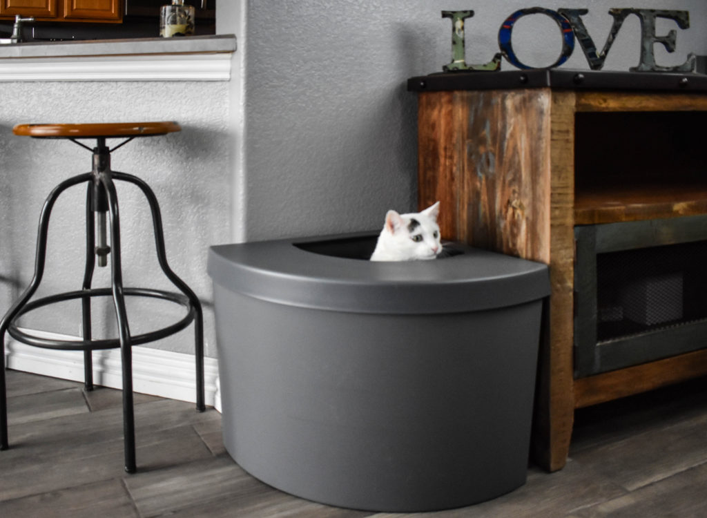 Largest Disposable Litter Box at Stanley Herring blog