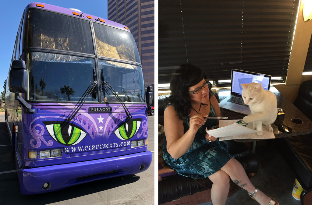 Incredible Catification Design of Tour Bus for The Amazing AcroCats