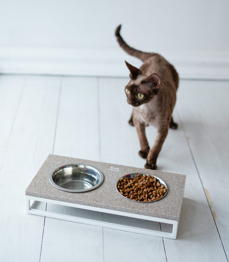 This Faux Stone Cat Feeder is Perfect for a Modern Kitchen