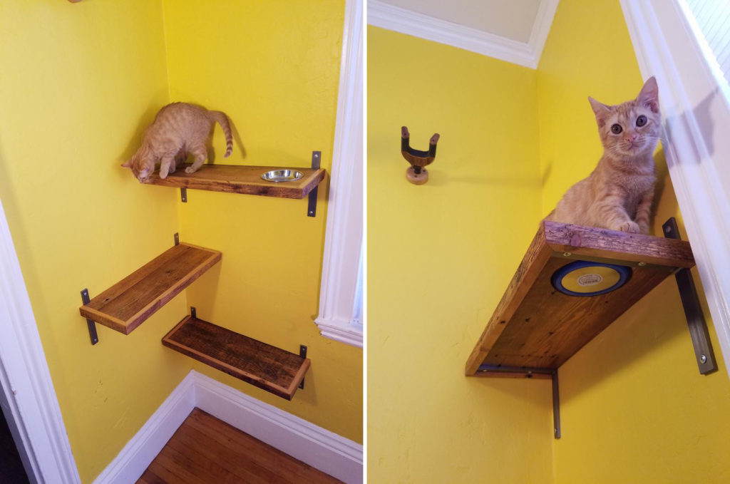 Rustic Reclaimed Wood Cat Shelves • hauspanther