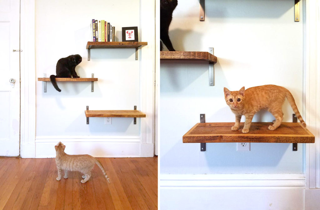 Rustic Reclaimed Wood Cat Shelves • hauspanther