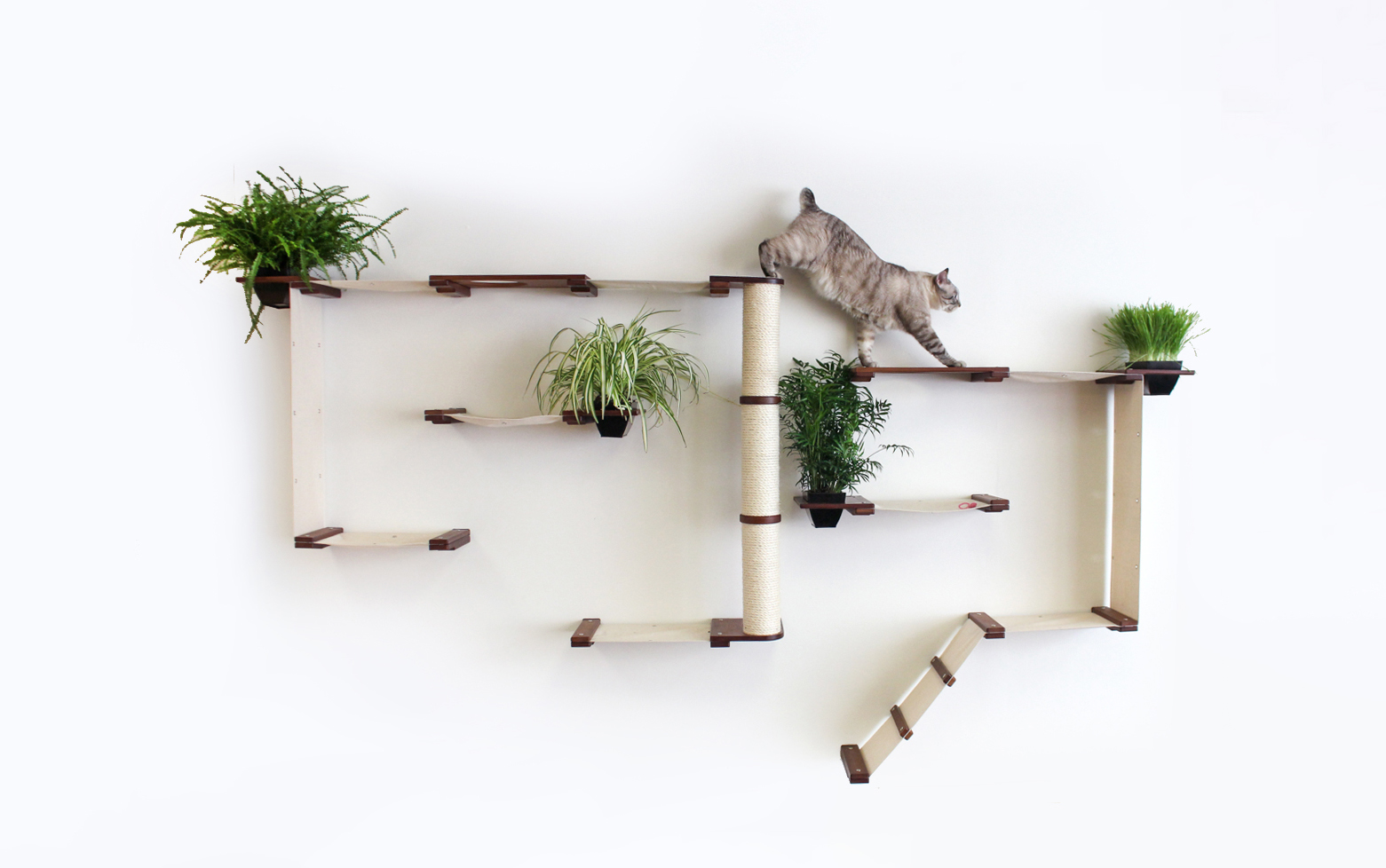 diy cat wall furniture