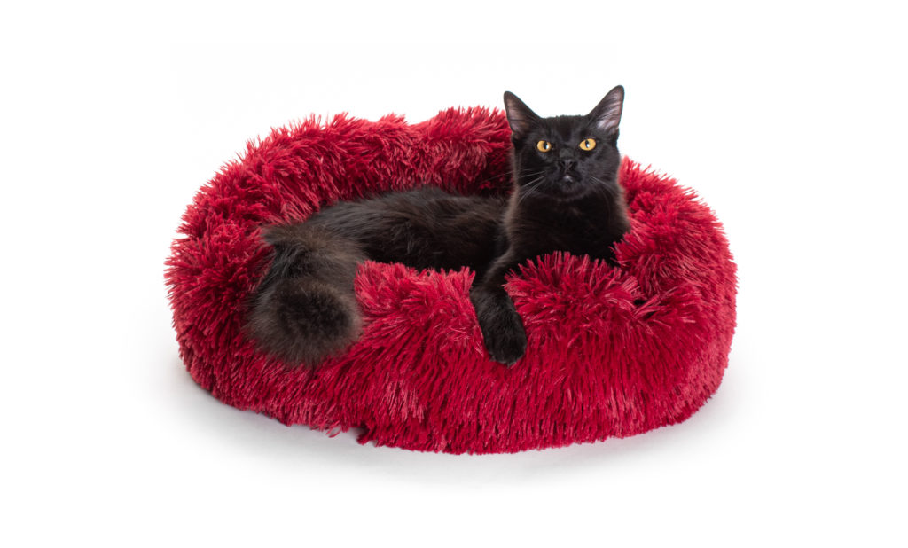 Marshmallow Cat Bed: The Coziest Cat Bed You'll Ever Find!