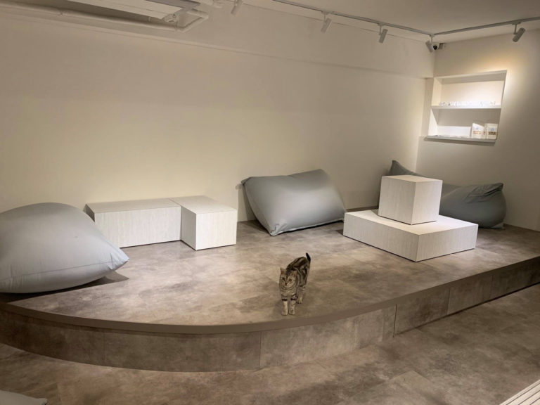 Co Caine Cat Lounge in Taiwan :: Minimal + Modern Catification