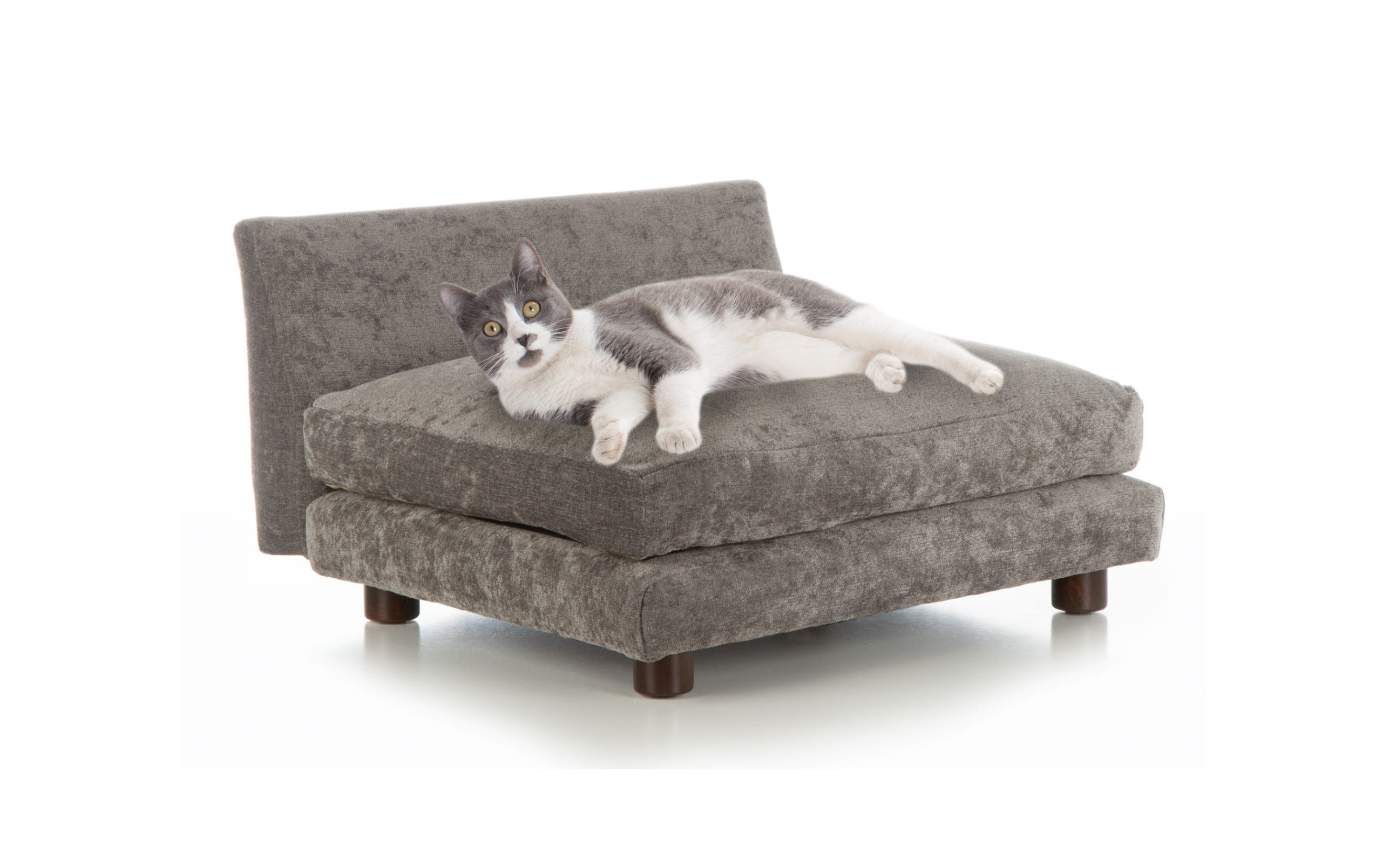 designer pet beds