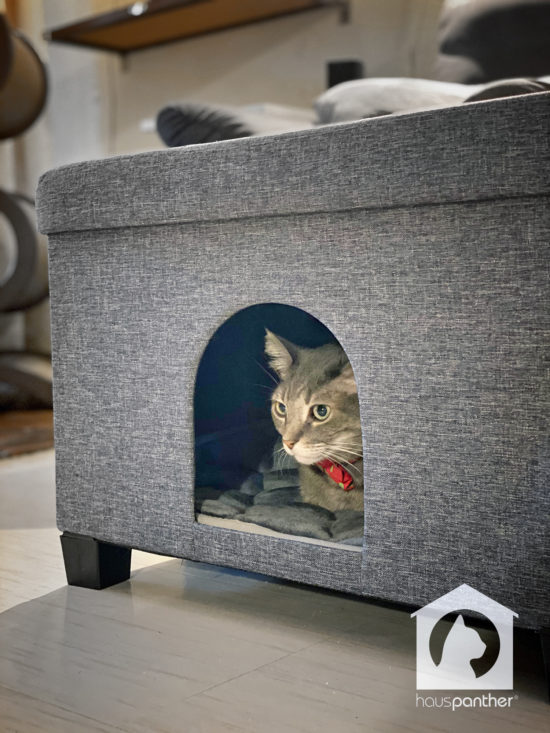 Pawristocrat Stylish Cat House Ottoman Combines Multiple Functions ...