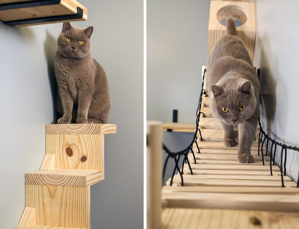 Handcrafted Solid Wood Cat Climbing Furniture from My Pet Project Co.