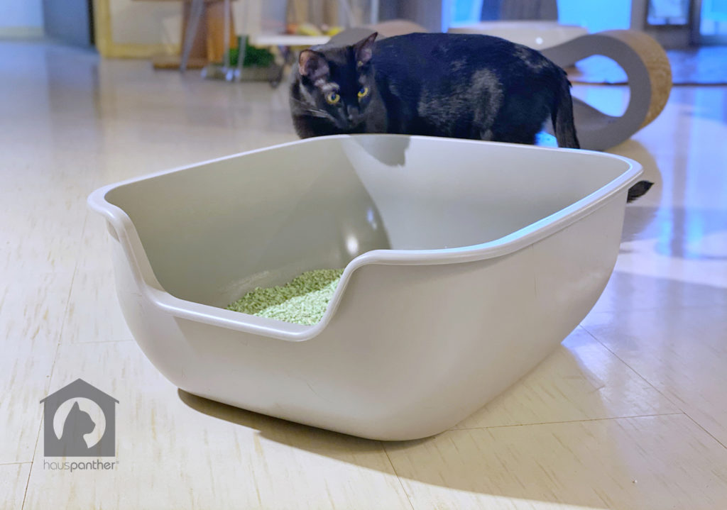 Hauspanther Fave: PetFusion BetterBox Non-stick Litter Box • hauspanther