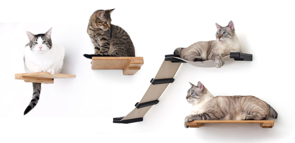 Cat Shelves & Hammocks & Bridges, Oh My! • hauspanther