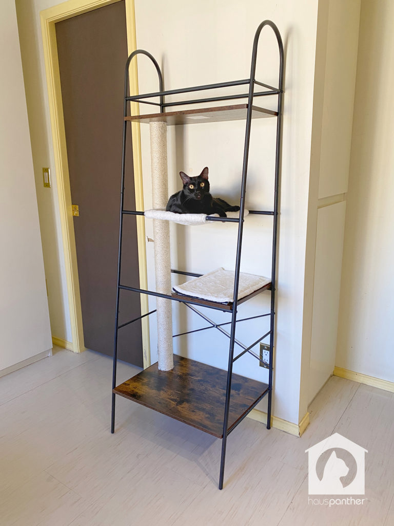 NEW VersiClimb Modern Cat Climber from Pet Fusion • hauspanther