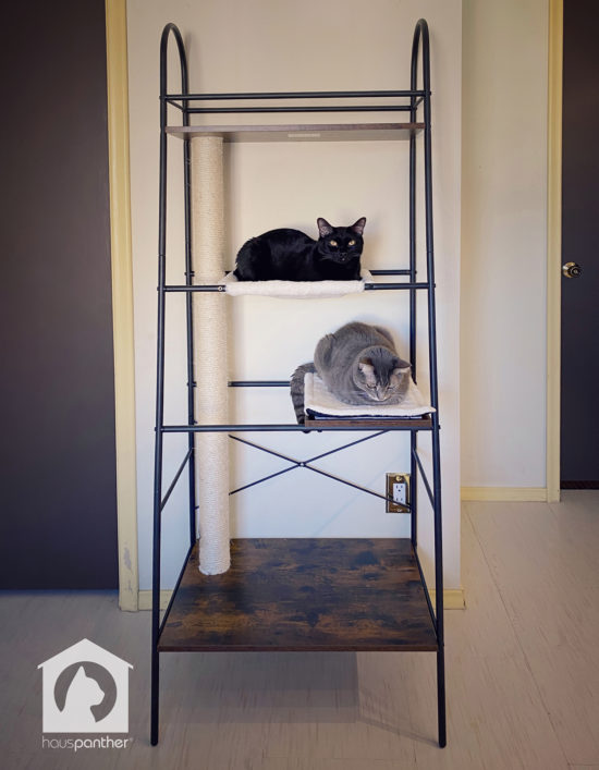 NEW VersiClimb Modern Cat Climber from Pet Fusion • hauspanther