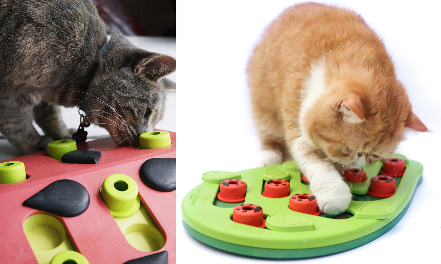 Cat Treat Puzzle Toys Feeder, Interactives Cat Maze Toy For Indoor