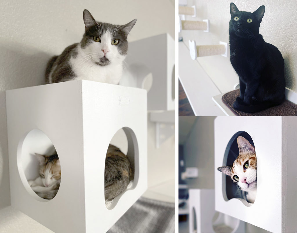 Catification Makeover: The Ultimate Cat Superhighway for The Two Crazy ...