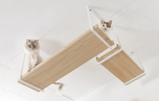 Create a Suspended Catwalk with AVENUE Cat Shelves from MYZOO • hauspanther