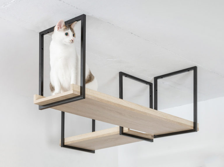 Create a Suspended Catwalk with AVENUE Cat Shelves from MYZOO • hauspanther