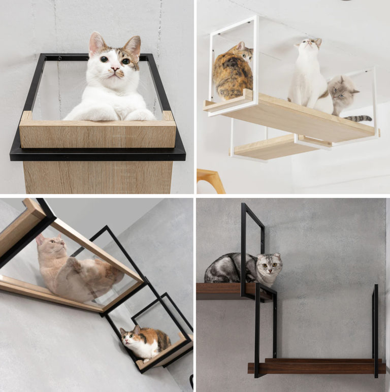 Create a Suspended Catwalk with AVENUE Cat Shelves from MYZOO • hauspanther