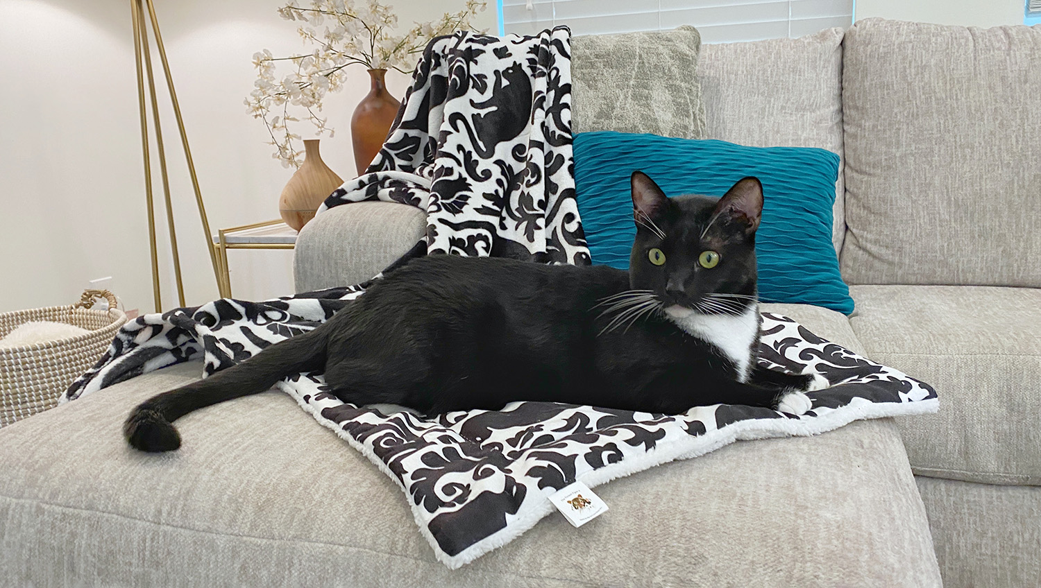 Kitty & Me | Fleece Cat Blanket and Cat Mat, Cats in The Garden