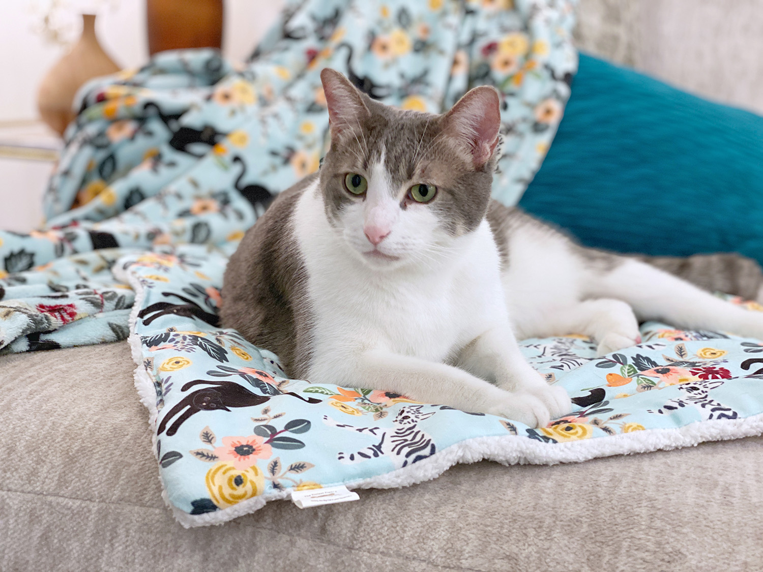 Kitty & Me | Fleece Cat Blanket and Cat Mat, Cats in The Garden