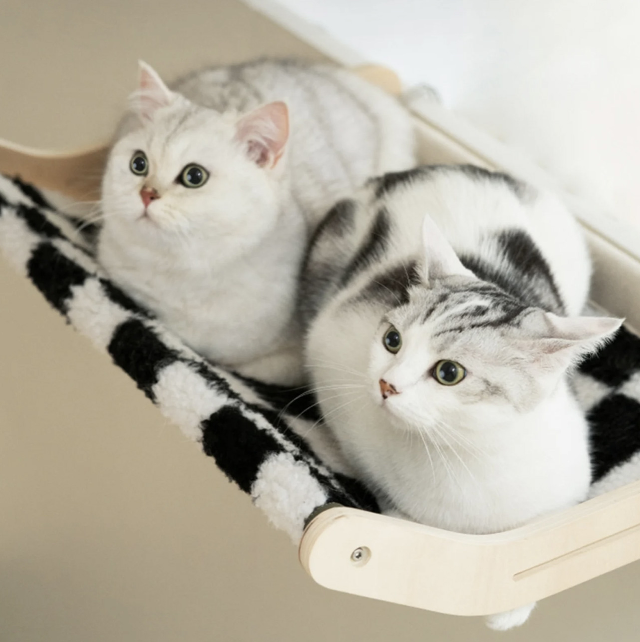 Versatile Cat Carrier |Cat House Collection Black