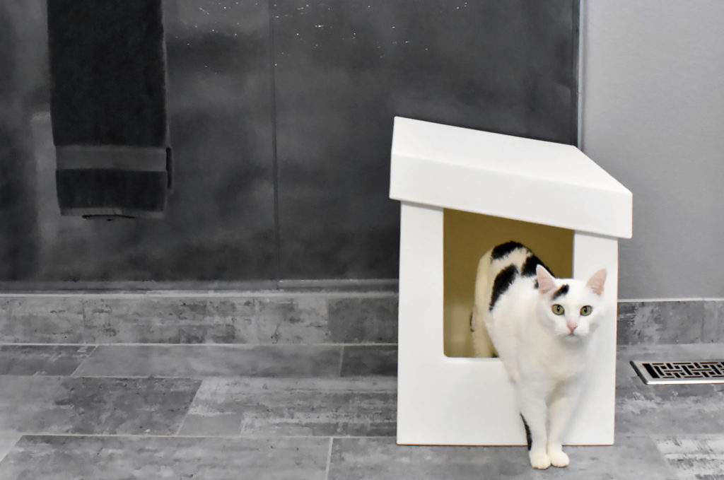 Disguise Your Litter Box with These Designer Options • hauspanther