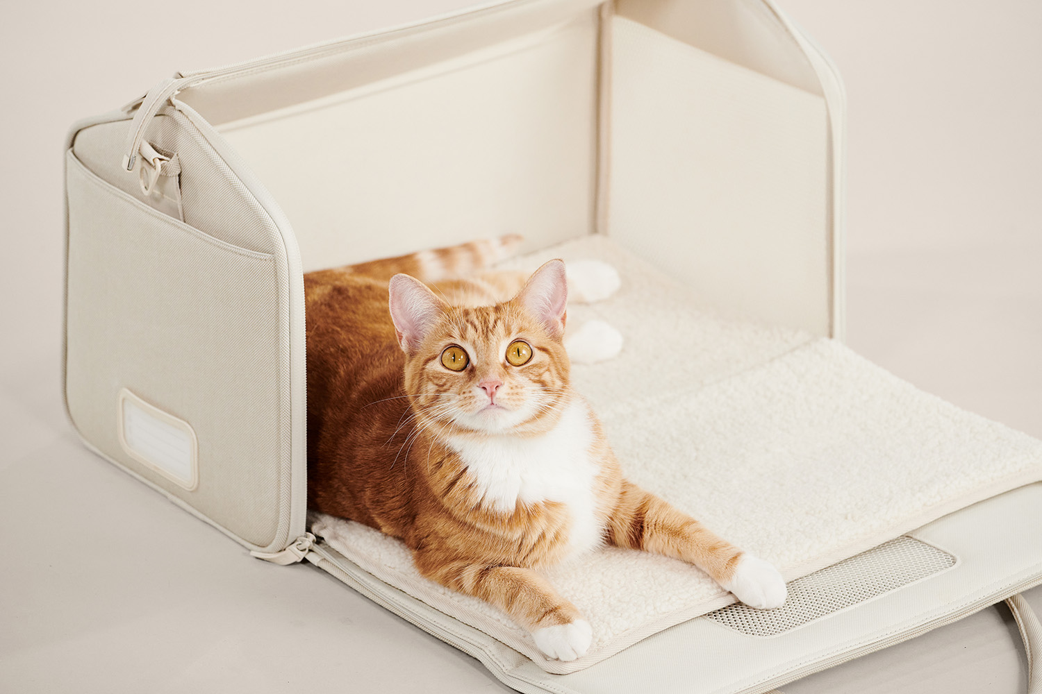 Tuft + Paw launched a new Porto Cat Carrier