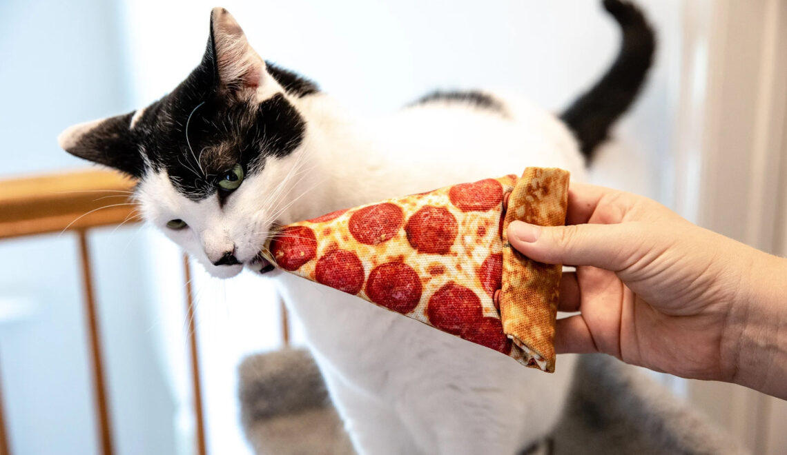 Refillable Catnip Pizza Slice Cat Toy from Meowy Janes