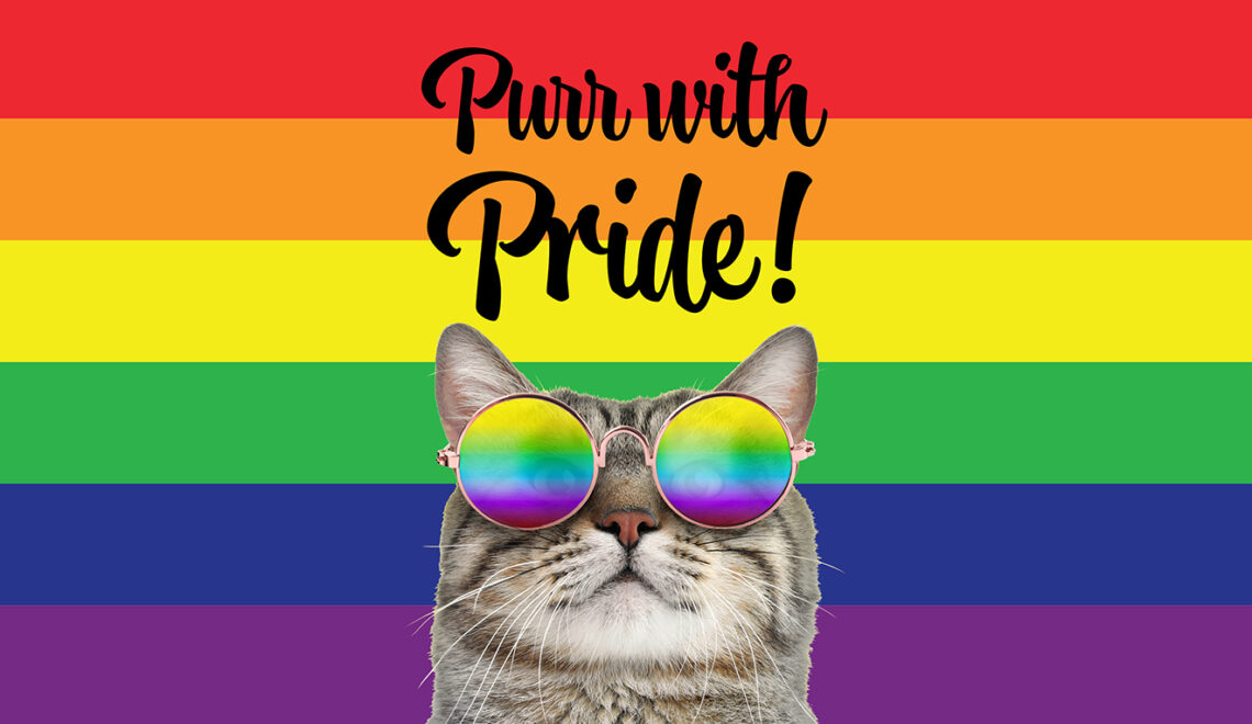 Purr with Pride! Limited Edition Cat Toys to Celebrate Pride Month!