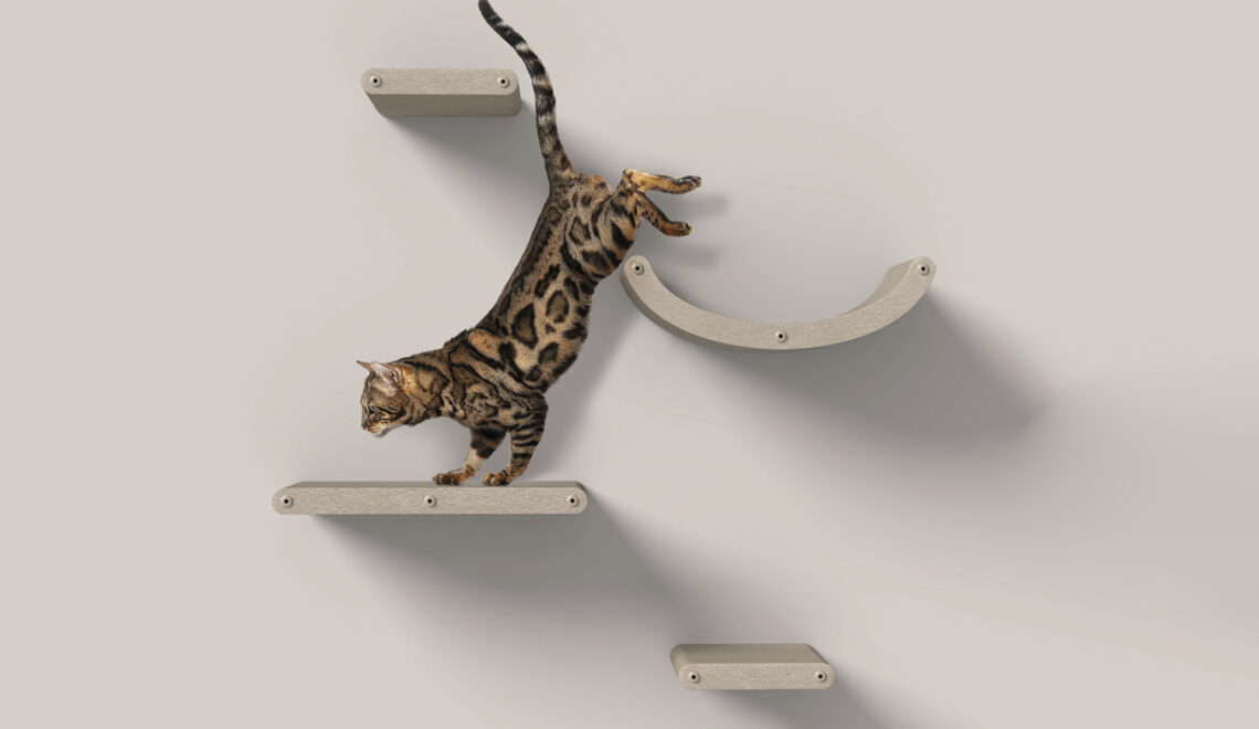 Modern Modular Wall-mounted Cat Climbers from Pryde Pets